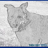 Verrassing van Irene :-))