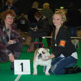 J.J beste puppy