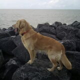 Mooi poseren