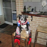 Onze Ajaxcied ;)