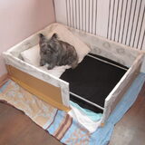 Daisy in haar werpkist