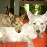 Quincy en Chera
