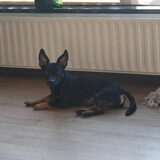 Foto van Desiree & Jax