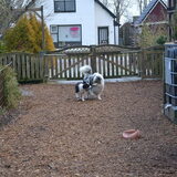 samen op een houtje