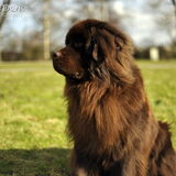Eerste shoot met nieuwe camera (20-02-2012)! Fedor.