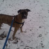 In de sneeuw