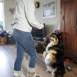 Zit mooi