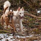 Foto van Hetty & Skipper