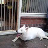 Wat heb ik het warm...