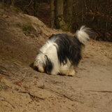 ..en snuffelen..