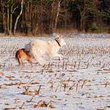Foto van Hetty & Skipper