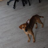 Foto van Michal & Plato