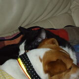 Foto van Sabine en Mini Max