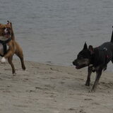 Foto van Sasch&de 2 idioten ^.^
