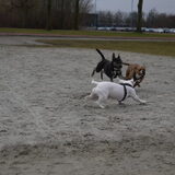 Foto van Sasch&de 2 idioten ^.^