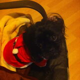 spike's kerstpakje