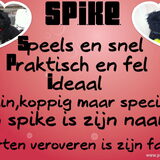 gedichtje