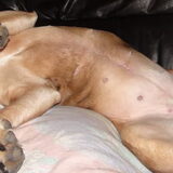 Luna ( Moe ) :p looll