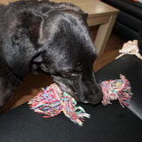 Spelen met touw