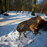 met mijn jasje aan, sneeuw 2012