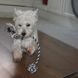 Bink 8 maanden.