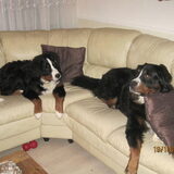 Samen op de bank