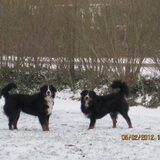 Kay en Bowy genieten van de sneeuw 2011