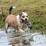 Foto van Anja