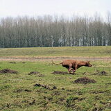 Foto van Anja