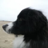 Foto van silke & woody