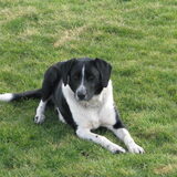 Foto van Gert + Blacky