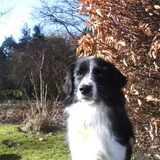 Foto van silke & woody