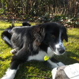 Foto van silke & woody