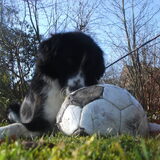 Foto van silke & woody