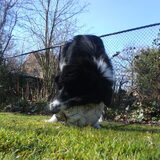 Foto van silke & woody