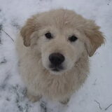 Is ze niet lief?