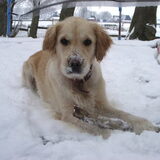 Lieve Kyra in de sneeuw hihi :)