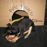 Pizza!!