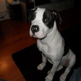 ik wordt al groot 4 mnd nu