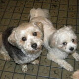 Taiko & Dempsey