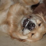 say.. cheeessee .. !!