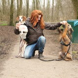 Foto van team Shadow