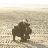 Foto van Annelies ~ Rasha † , Amigo & Akita