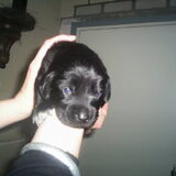 The day we met..