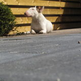 Genieten in de zon