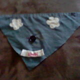 bandana bikkel