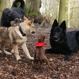 Wandeling Hp