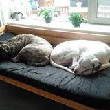Foto van José • Rover