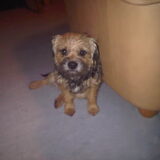 Chicooo:d