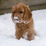 Ze vond de sneeuw echt geweldig!
